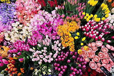 《闪电十一人 英雄们的胜利之路》延期至11月发售