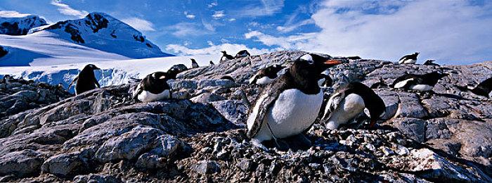 《东方的迷宫Tri 梦想少女与神秘的宝珠》Steam页面开放 不支持中文